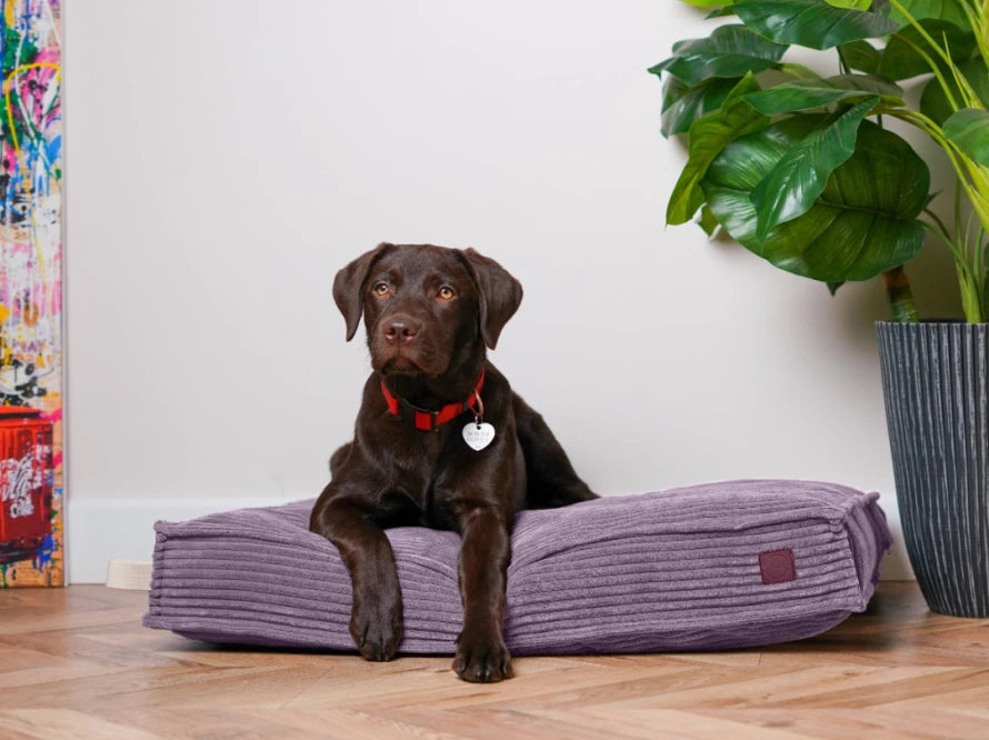 MEMORY FOAM pillow