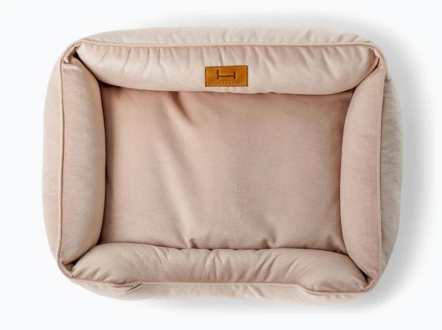 DREAMER Velour