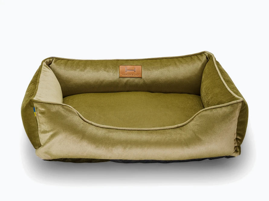 DREAMER Velour