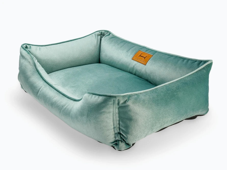 DREAMER Velour