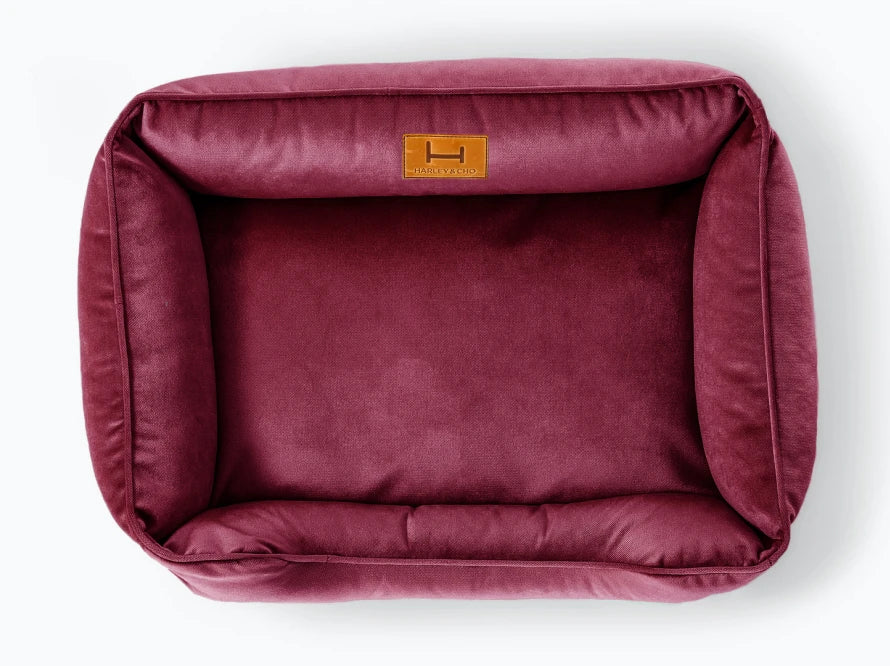 DREAMER Velour
