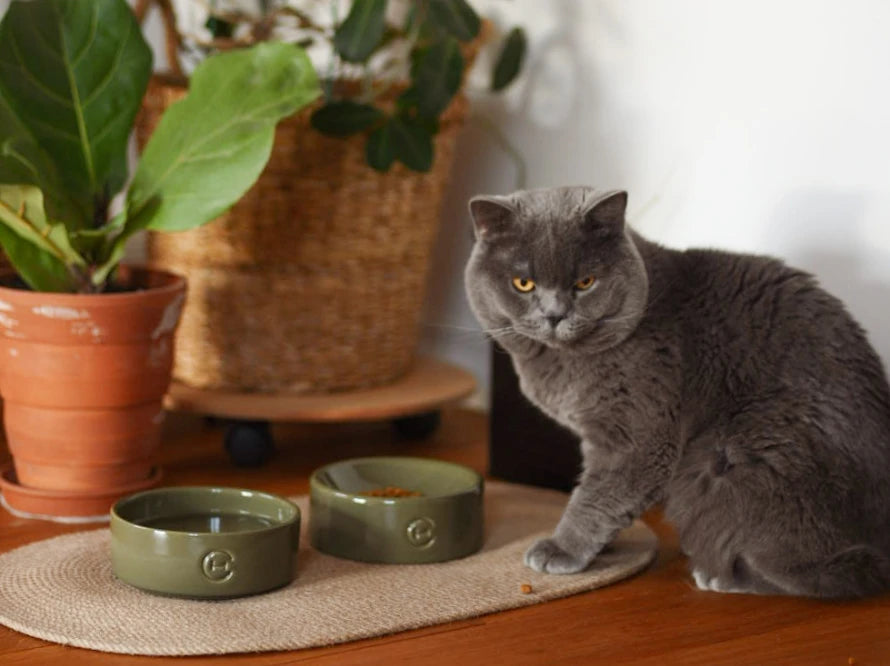 CERAMIC SPHERE Bowl