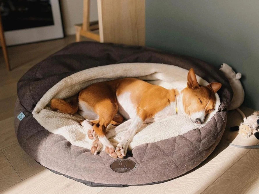 COVER Memory Foam