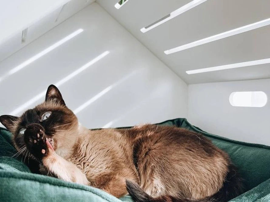 Shelter Weiß Velours#Grün