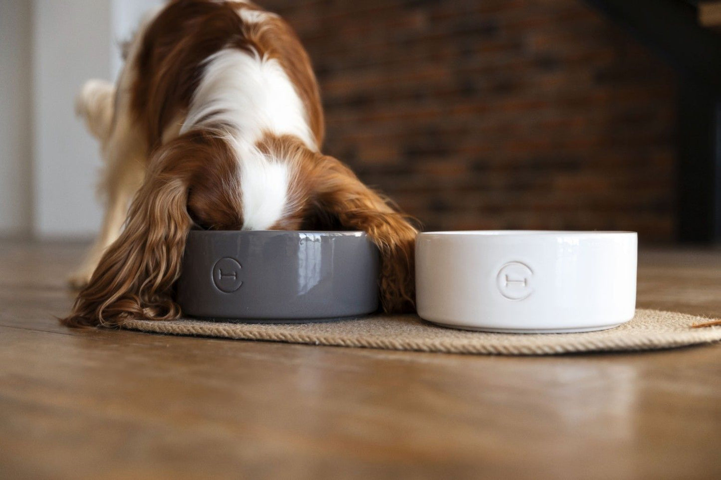 DOG BOWL made of ceramic / spherical-bottom