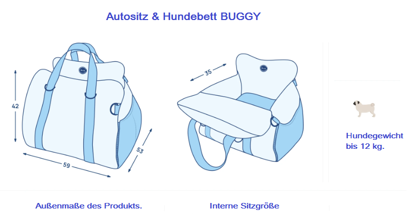 BUGGY