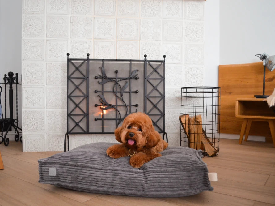 MEMORY FOAM pillow