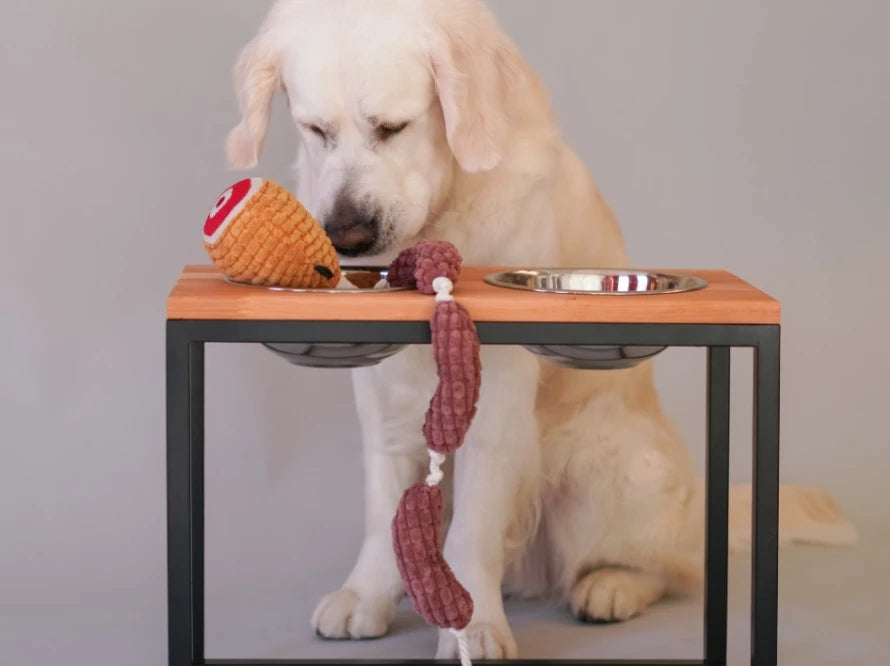 Ceramic Dog Bowl Ceramic Bowl