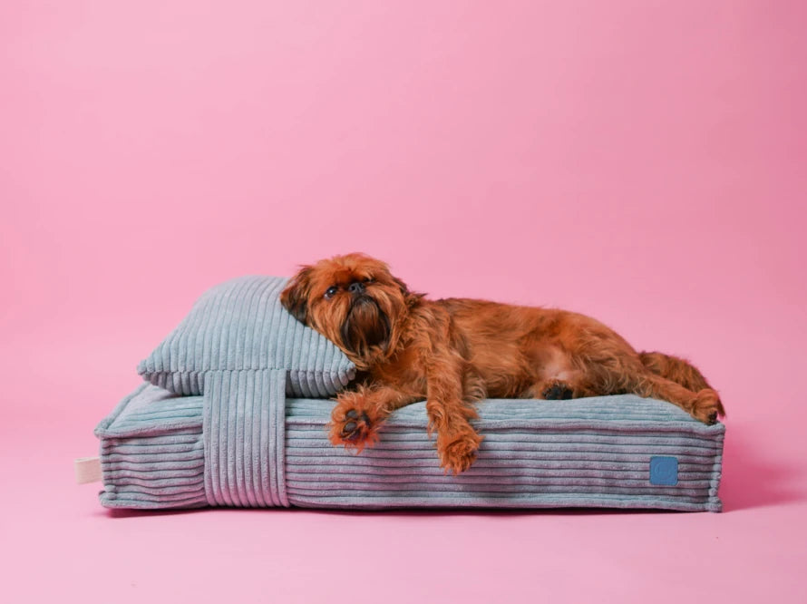 MEMORY FOAM pillow