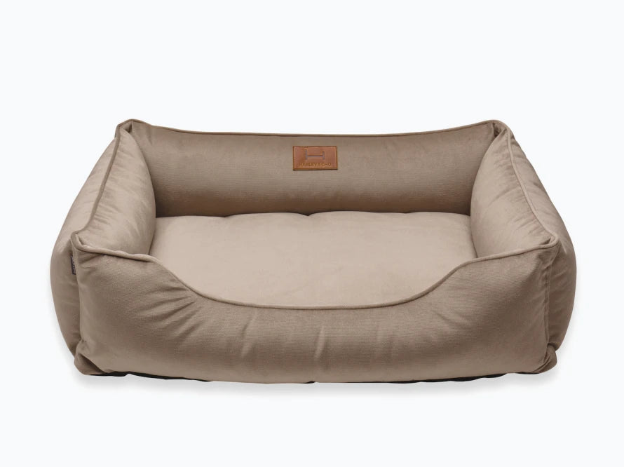 DREAMER Velour