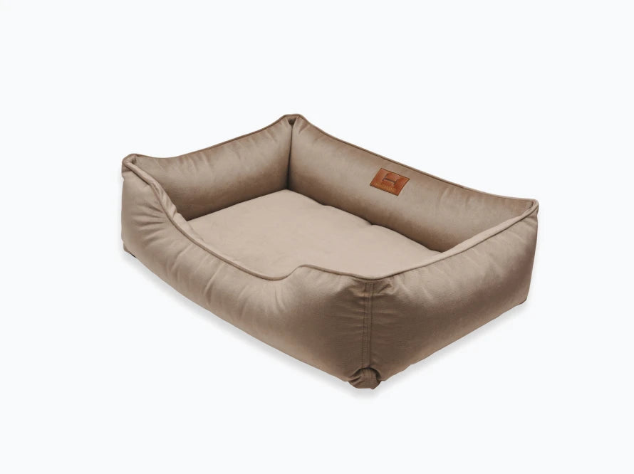 DREAMER Velour