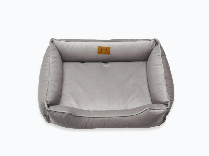 DREAMER Velour