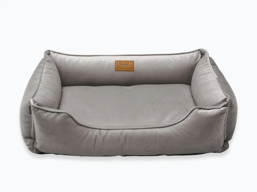 DREAMER Velour