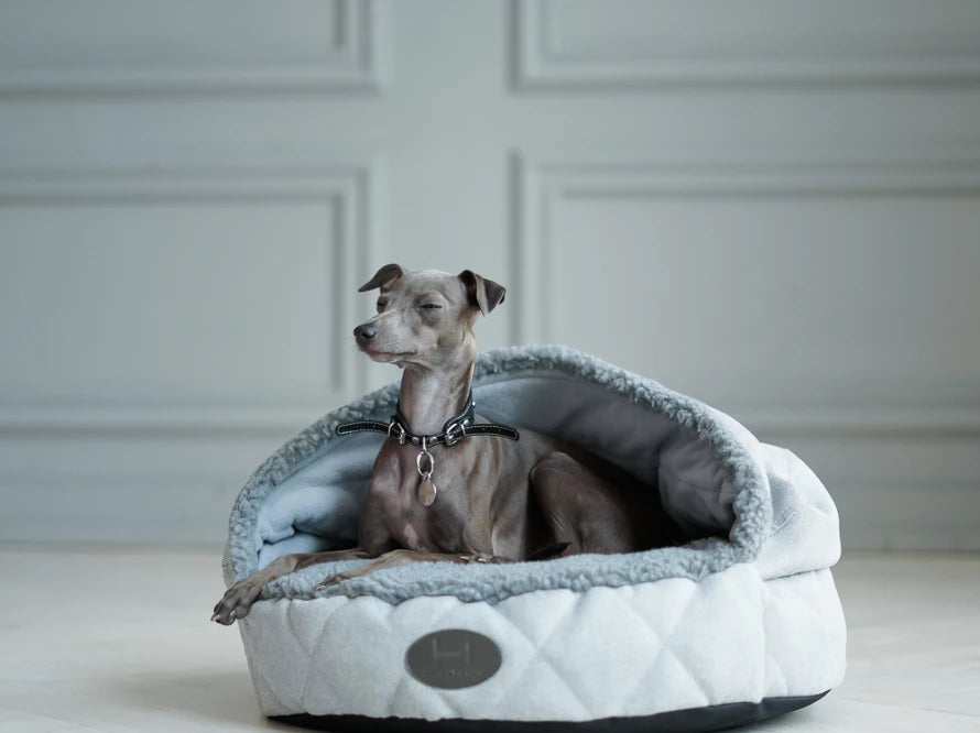 COVER Memory Foam
