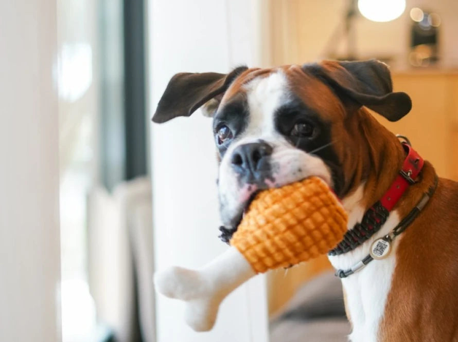TURKEY LEG