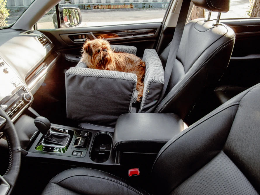 DISCOVERY dog car seat