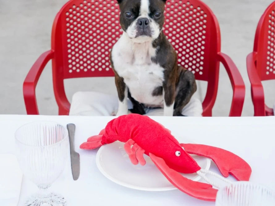 LOBSTER SEBASTIAN