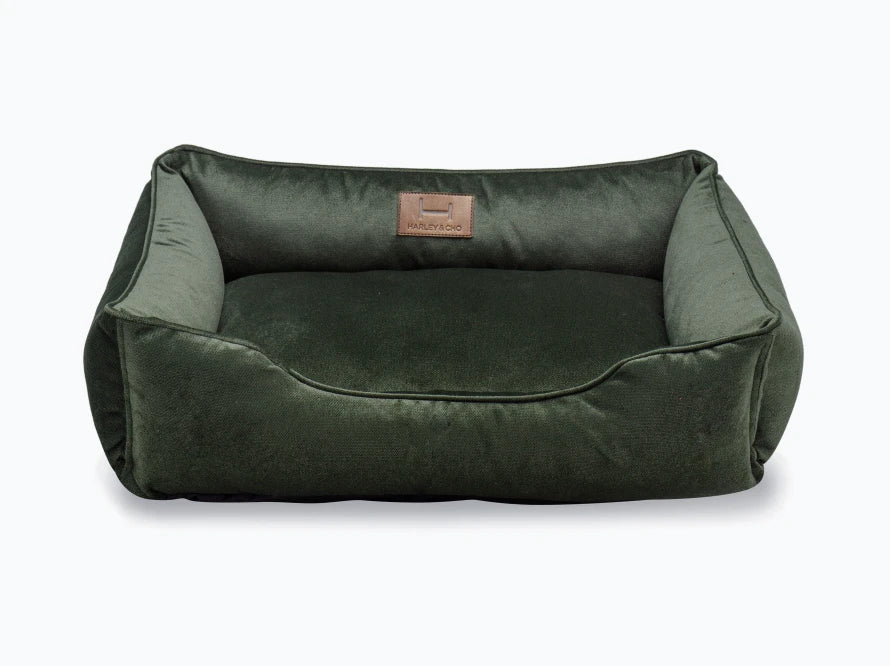 DREAMER Velour