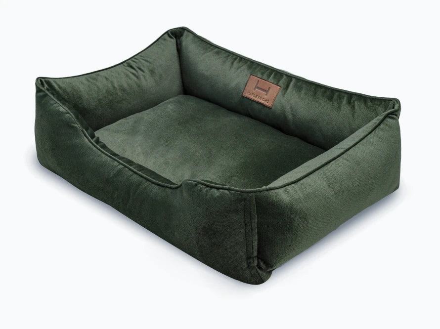 DREAMER Velour