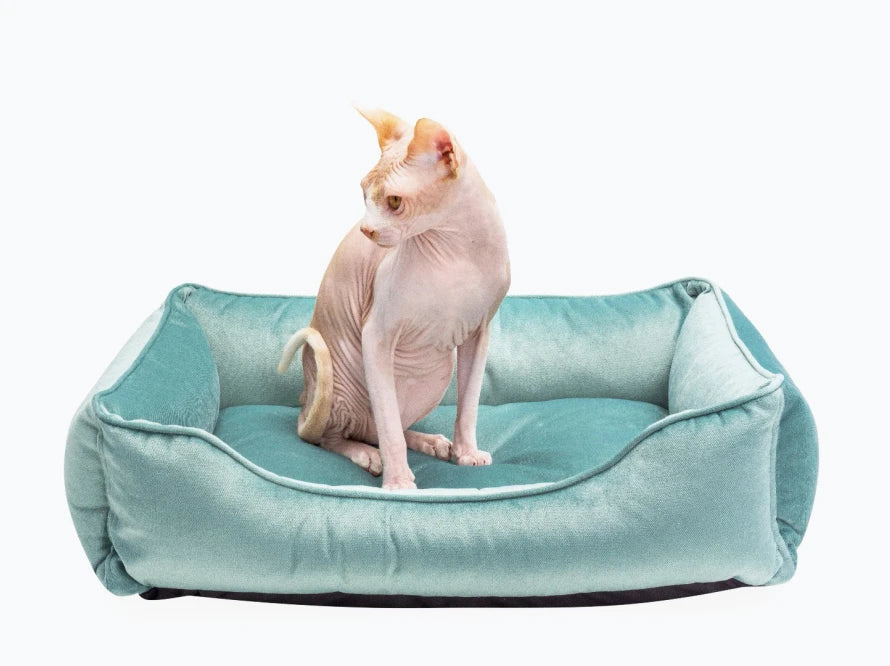 Dog Bed Dreamer Velour Wine