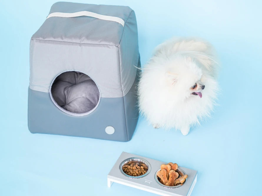 Cat House Cabrio