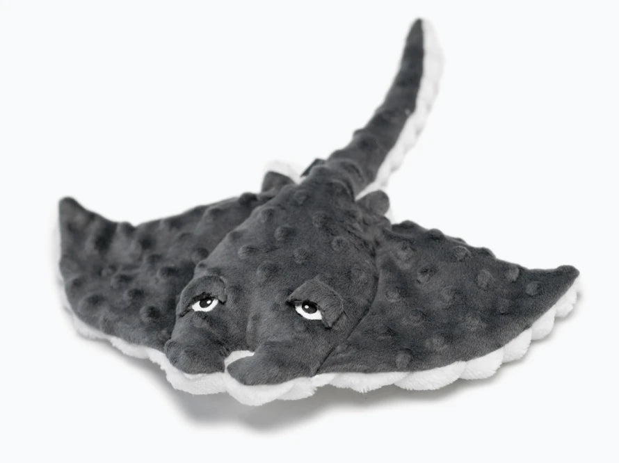 STINGRAY Fish