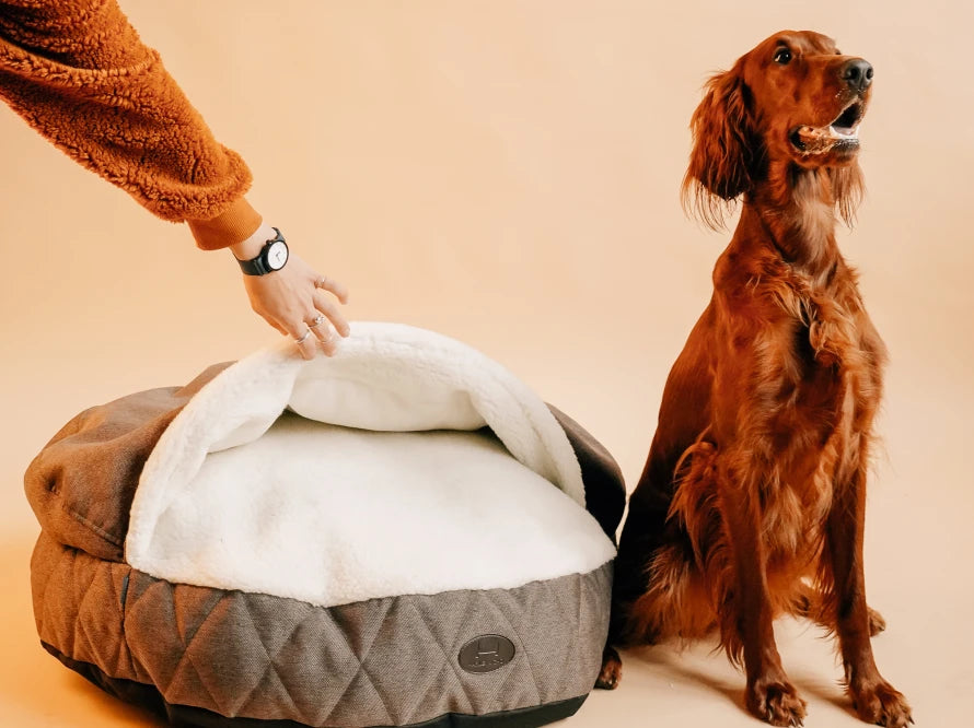 COVER Memory Foam