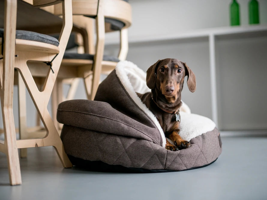 COVER Memory Foam