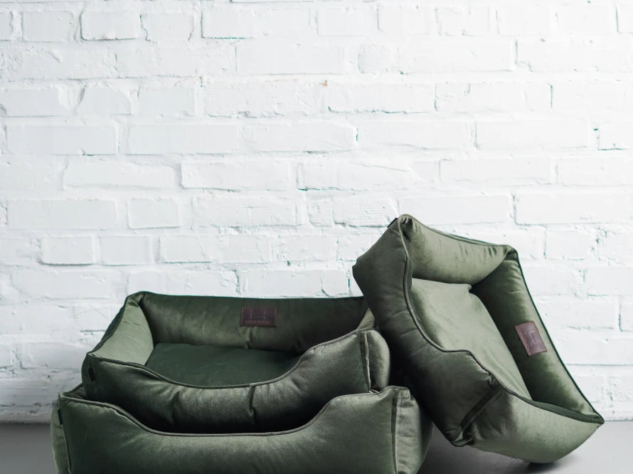 DREAMER Velour