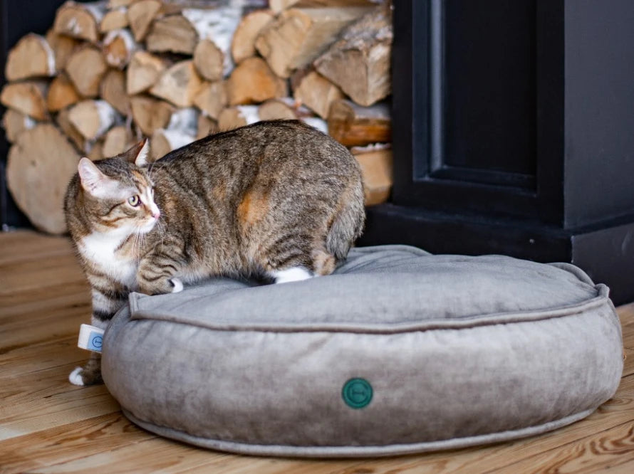 ISLAND Memory Foam