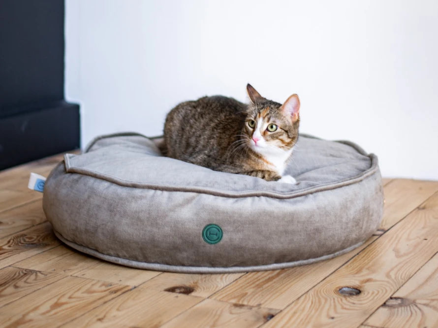 ISLAND Memory Foam