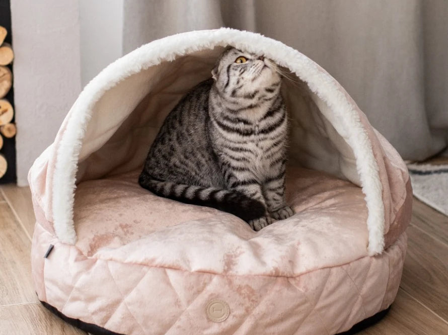 COVER Plush Memory Foam