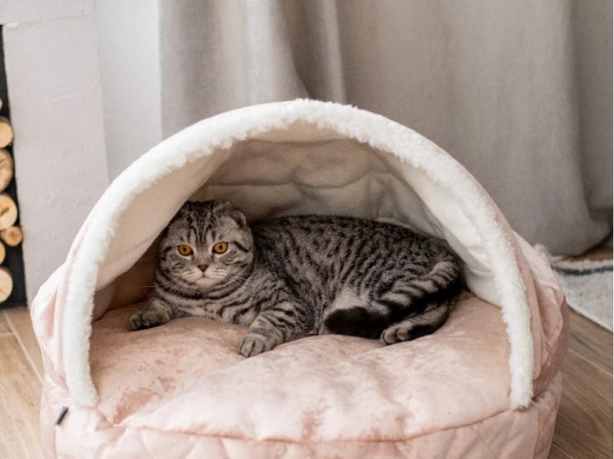 COVER Plush Memory Foam