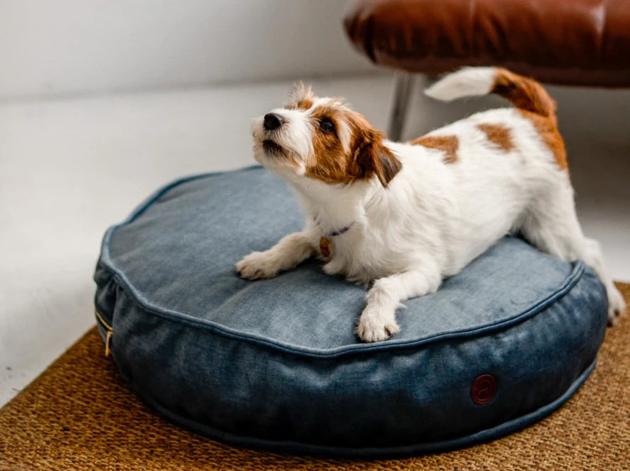 Island Memory Foam Dog Pillow