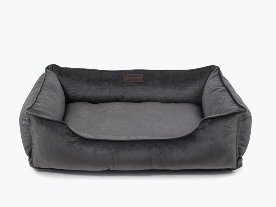 DREAMER Velour