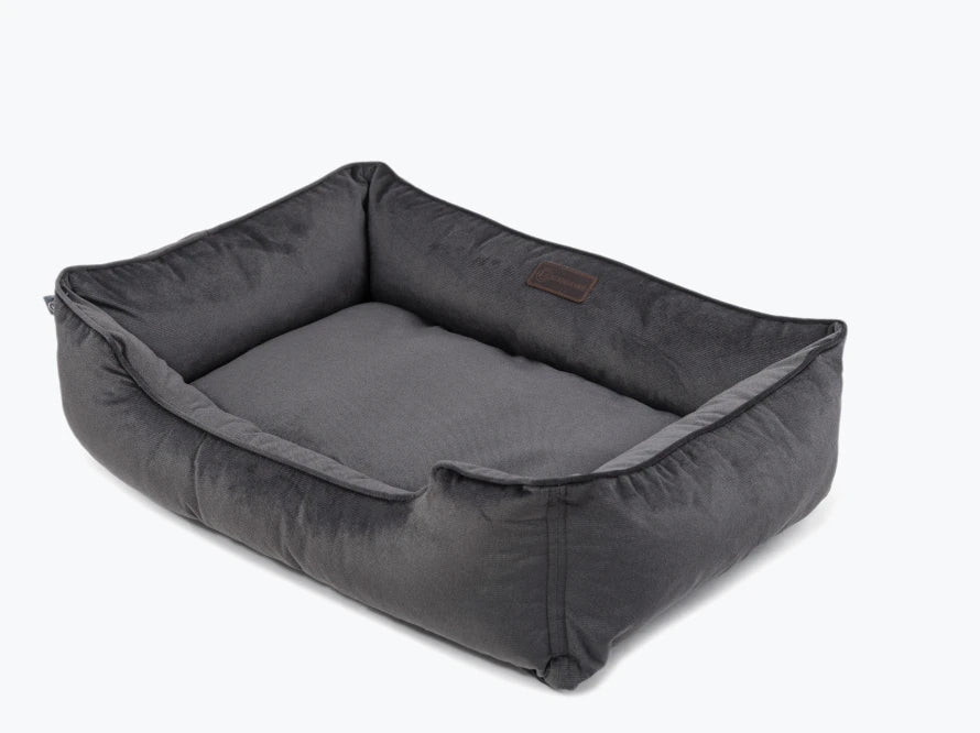DREAMER Velour