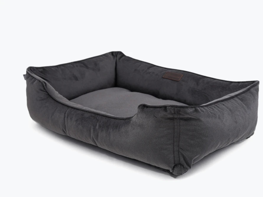 DREAMER Velour