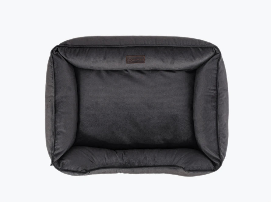 DREAMER Velour