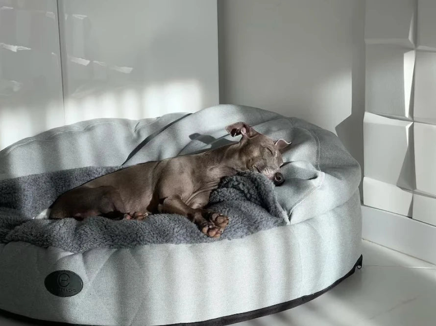 COVER Memory Foam