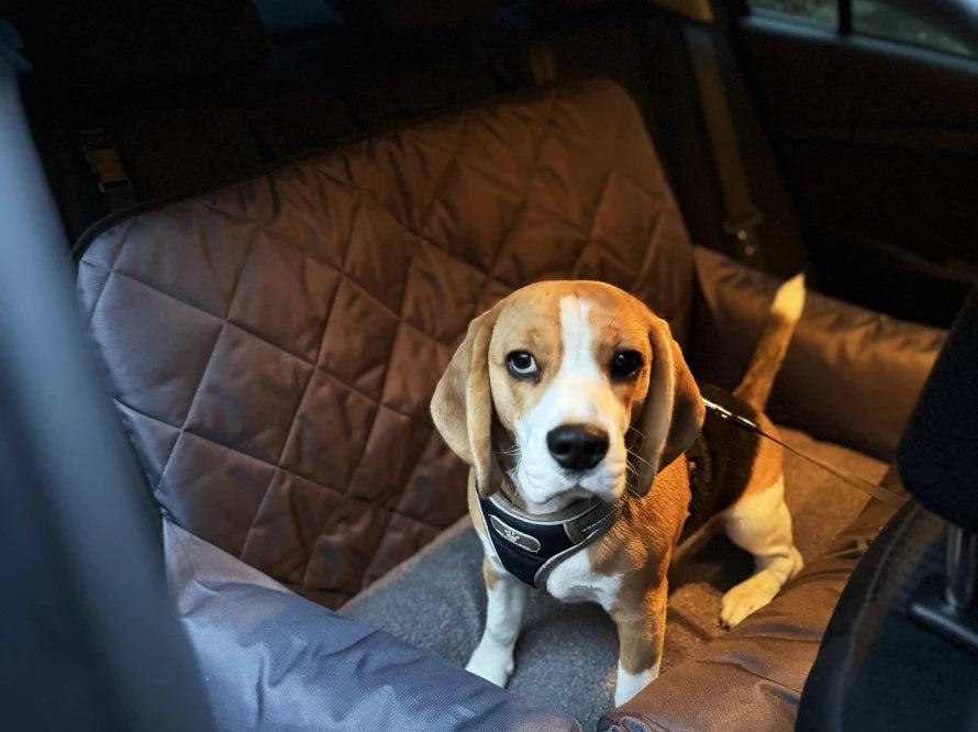 BUGGY MOKKO Car seat for dogs made of faux leather and furniture velour for miniature and small dogs / Dog carrier bag / Waterproof / Premium