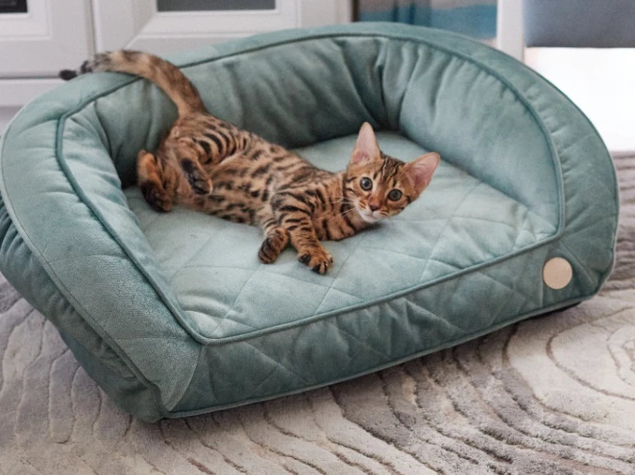 SOFA Sleeper Mini