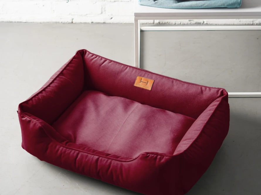 DREAMER Velour