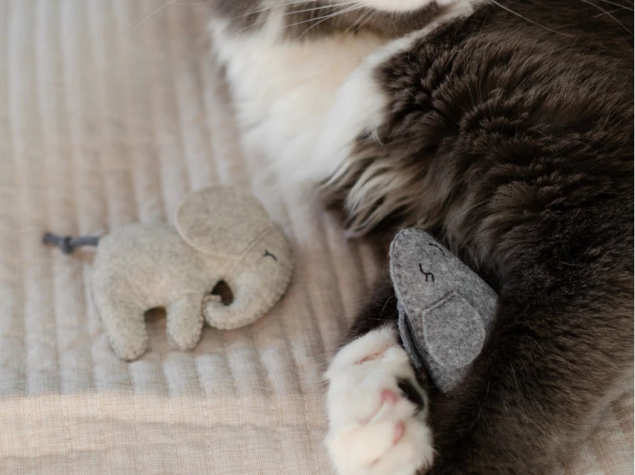 ELEPHANT OM with Mint