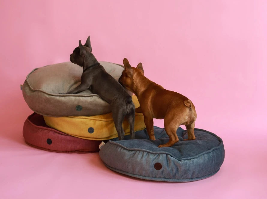 Island Memory Foam Dog Pillow