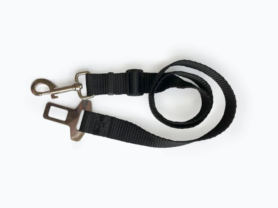 leash for the car dog hammock Saver