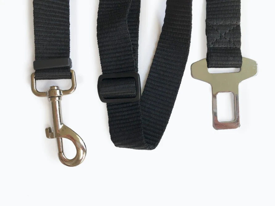 leash for the car dog hammock Saver