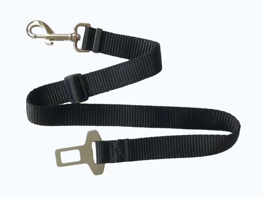 leash for the car dog hammock Saver