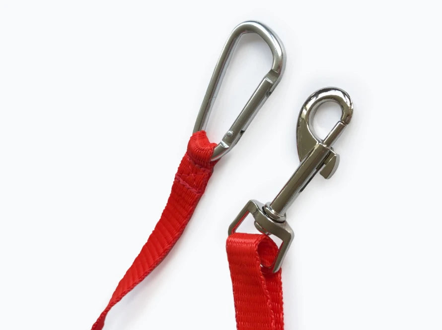 leash in the dog car seat Discovery