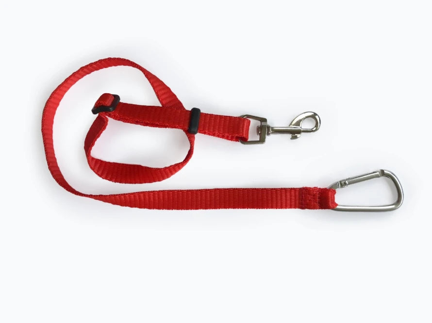 leash in the dog car seat Discovery