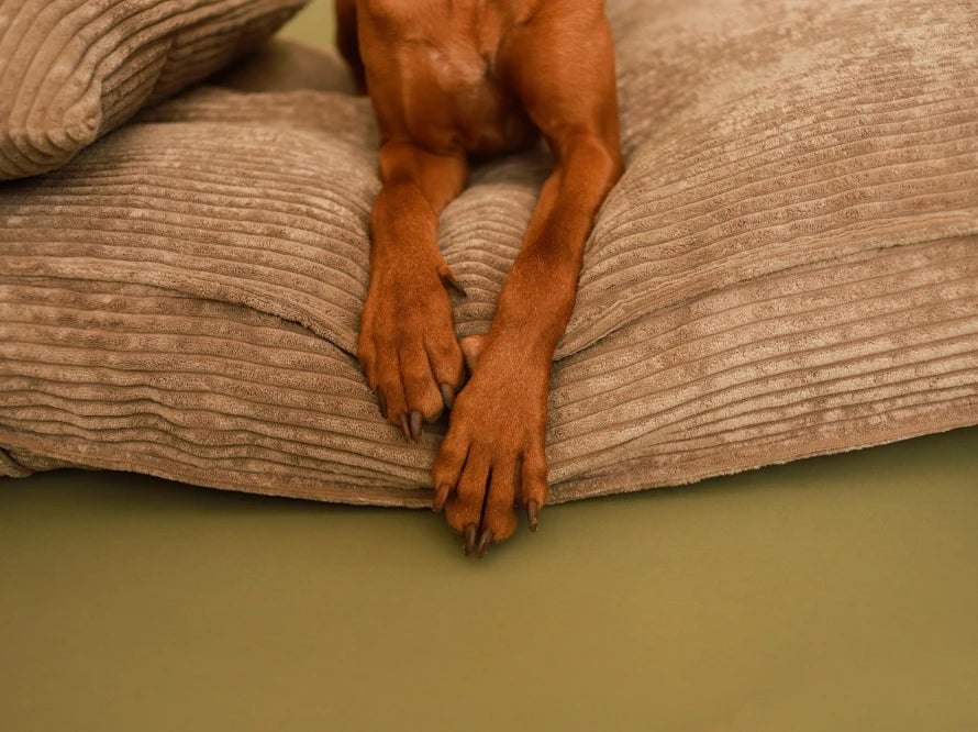 MEMORY FOAM pillow